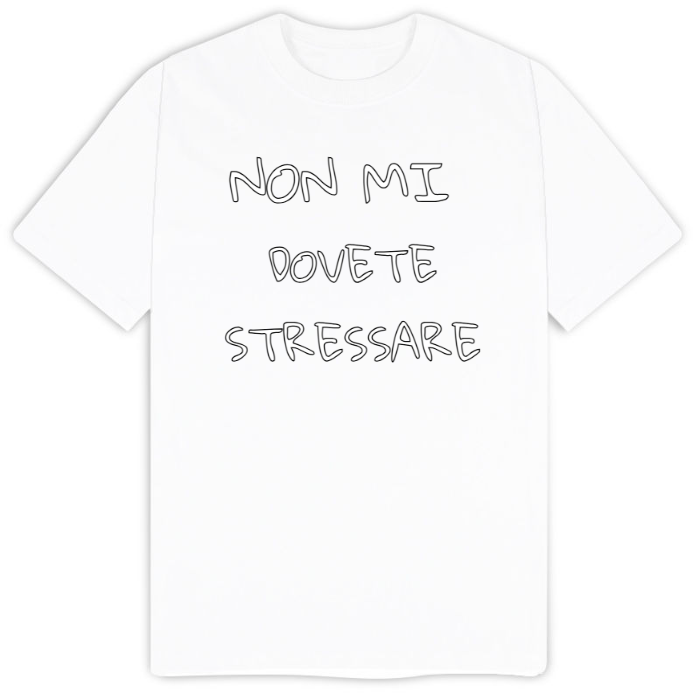 T-Shirt SARCASTICO Uomo Cotone Organico Inspire "NON MI DOVETE STRESSARE"