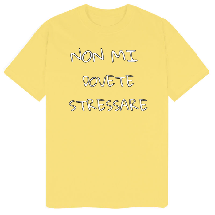 T-Shirt SARCASTICO Uomo Cotone Organico Inspire "NON MI DOVETE STRESSARE"