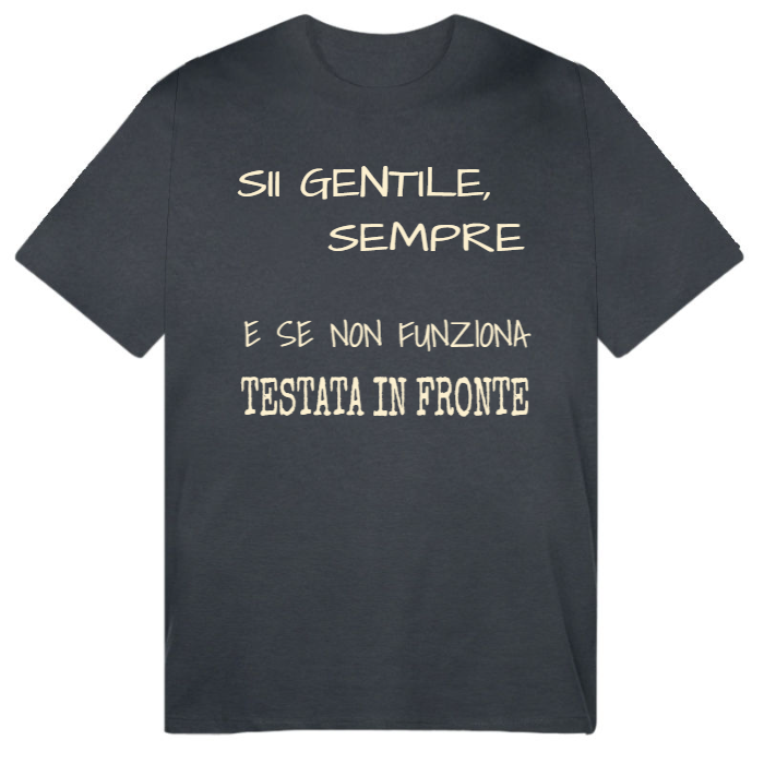 T-Shirt SARCASTICO Uomo Cotone Organico Inspire "SII GENTILE, SEMPRE E SE NON FUNZIONA TESTATA IN FRONTE"